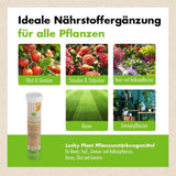 Pflanzenstärkung Tablette - 20 Tabs