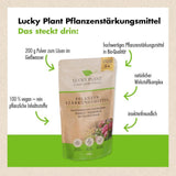 Pflanzenstärkung Pulver (2x 200 g)