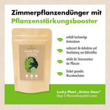 Grüne Oase - der Zimmerpflanzenbooster (150 g)