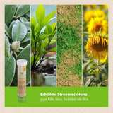 Pflanzenstärkung Tablette - 20 Tabs