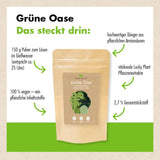 Grüne Oase - der Zimmerpflanzenbooster (150 g)