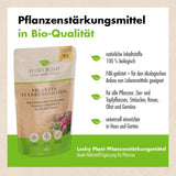 Pflanzenstärkung Pulver (2x 200 g)