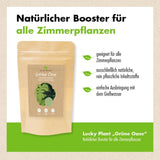 Grüne Oase - der Zimmerpflanzenbooster (150 g)