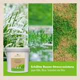 Premium Rasendünger (7,5 kg)