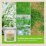 Premium Rasendünger (7,5 kg)