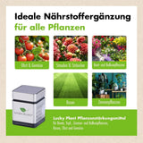 Pflanzenstärkung Pulver (400 g) & Tabletten (20 Tabs)