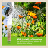 Pflanzenstärkung Tablette - 20 Tabs