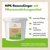 Premium Rasendünger (2,5 kg)