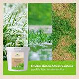 Premium Rasendünger (2,5 kg)