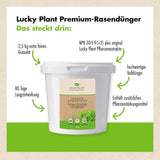 Premium Rasendünger (2,5 kg)