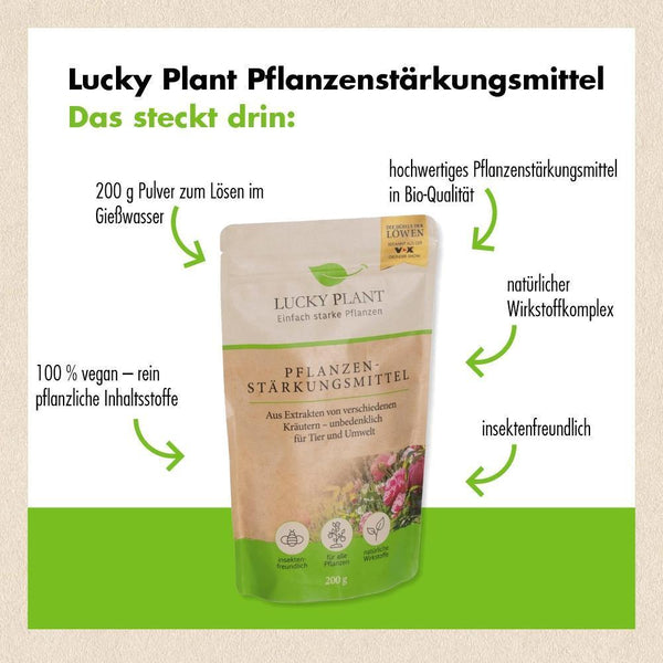 Pflanzenstärkung Pulver (5x 200 g)