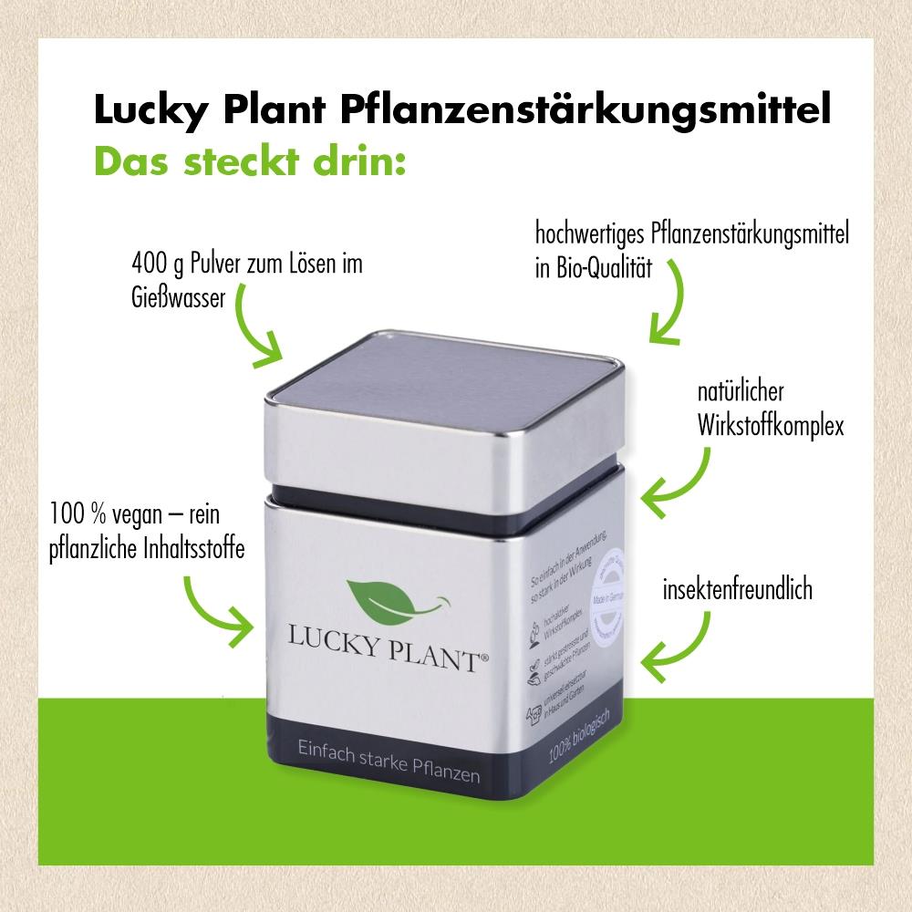 Pflanzenstärkung Pulver (400 g) & Tabletten (20 Tabs) – Lucky Plant GmbH