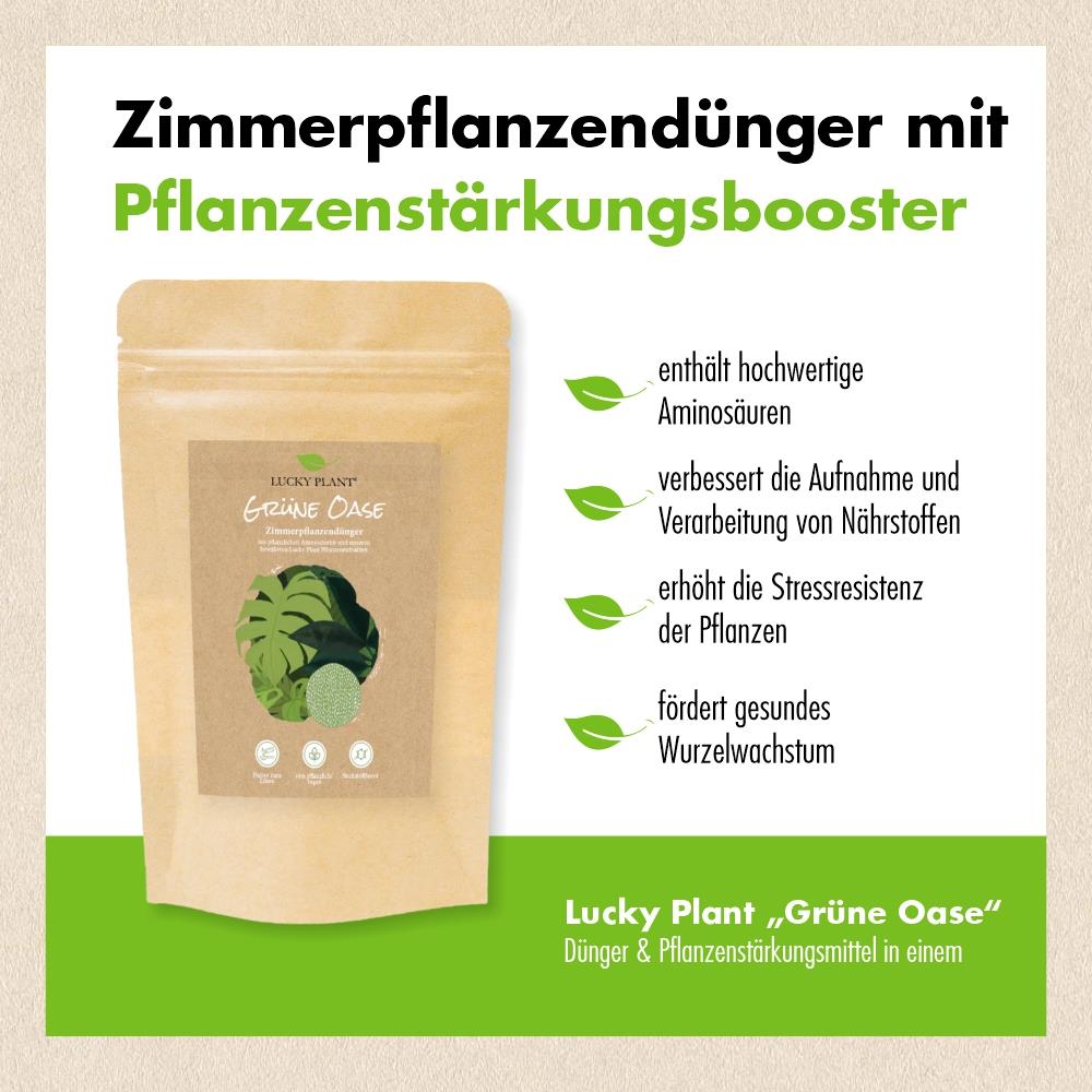 Grüne Oase