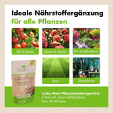 Pflanzenstärkung Pulver (2x 200 g)