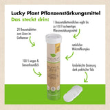 Pflanzenstärkung Pulver (400 g) & Tabletten (20 Tabs)