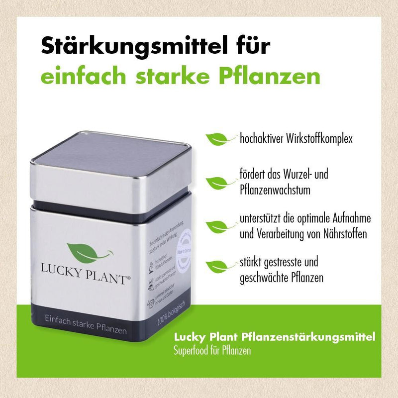 Pflanzenstärkung Pulver (400 g) & Tabletten (20 Tabs)