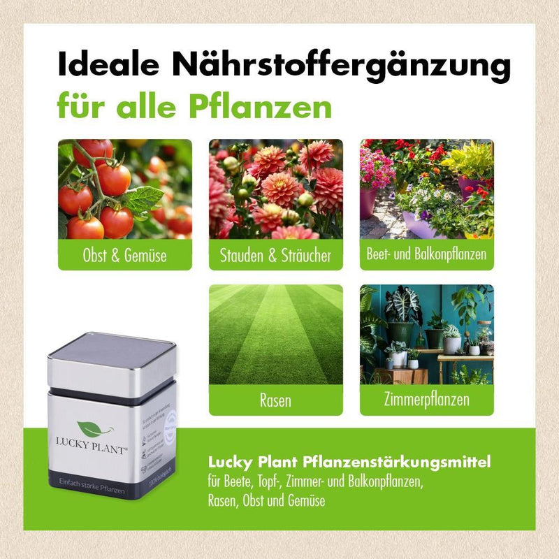 Pflanzenstärkung Pulver (400 g) & Tabletten (20 Tabs)