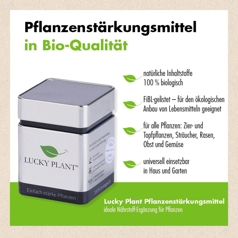 Pflanzenstärkung Pulver (400 g)