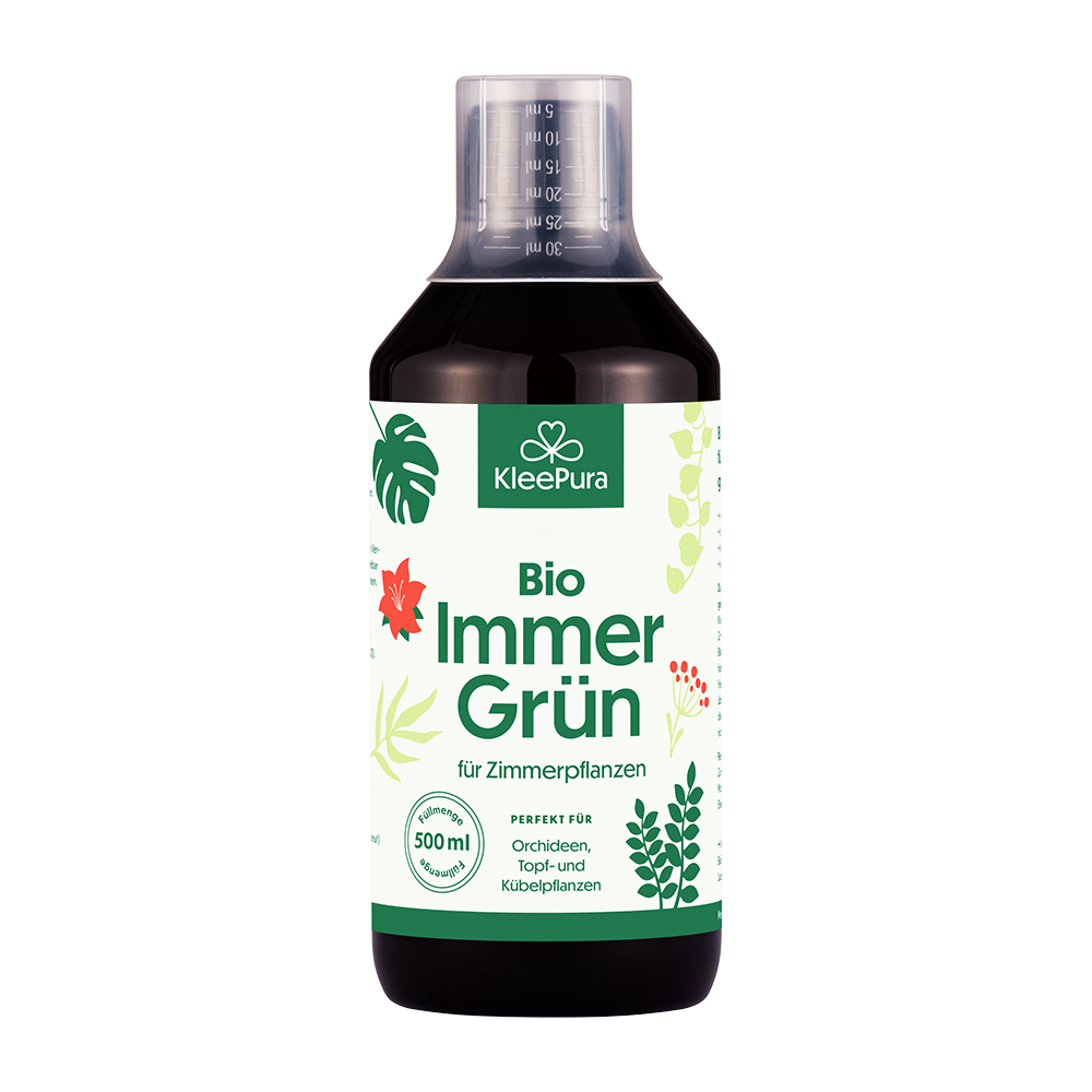 Kleepura Bio Immergrün für Zimmerpflanzen