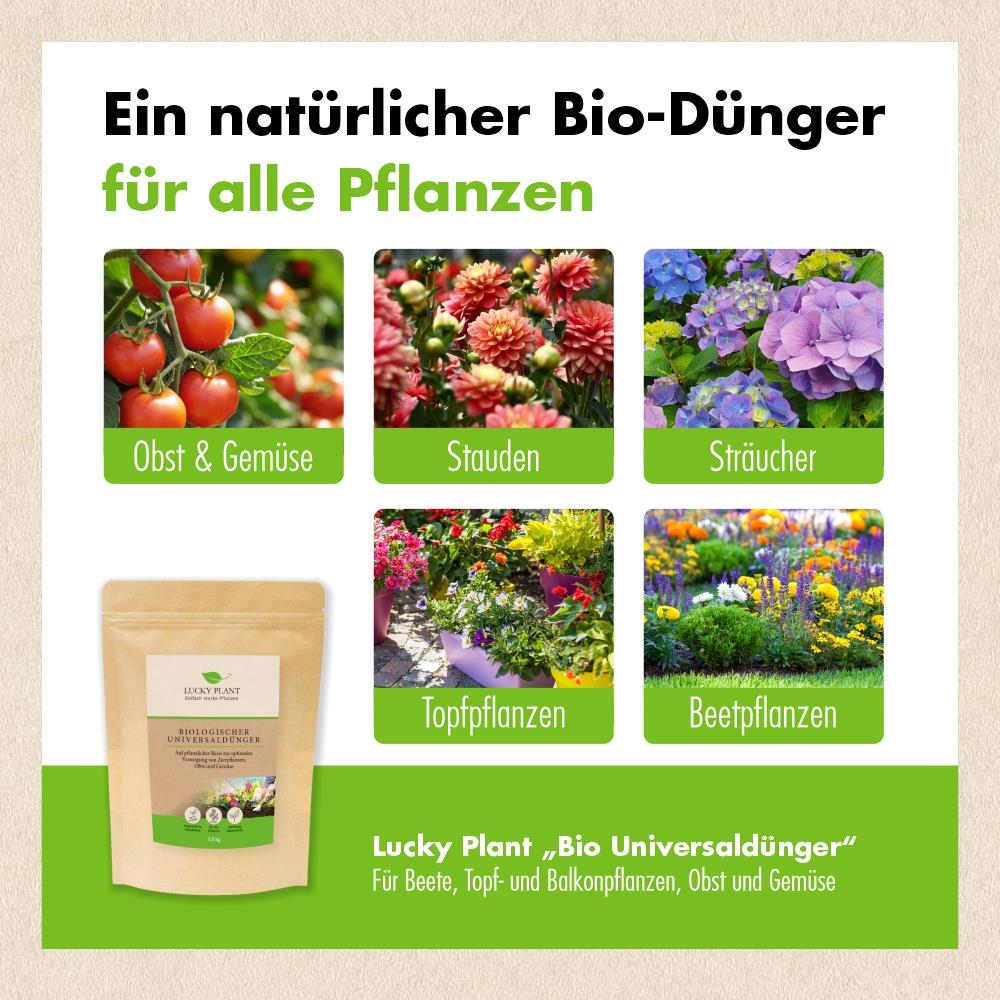 universal dünger bio Biologischer Universaldünger (3 kg) – Lucky Plant GmbH